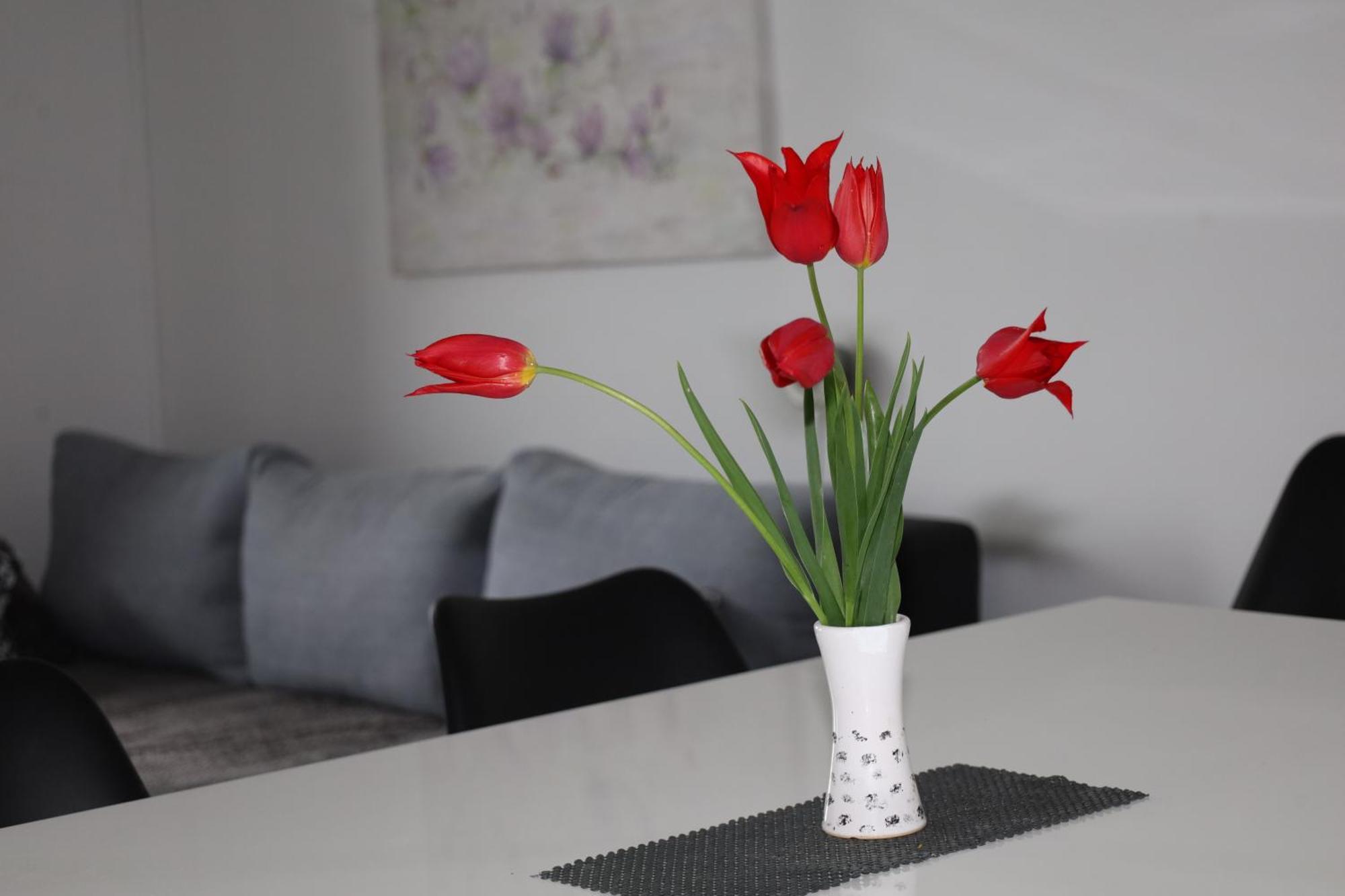 Apartma Javorscek Bovec Esterno foto